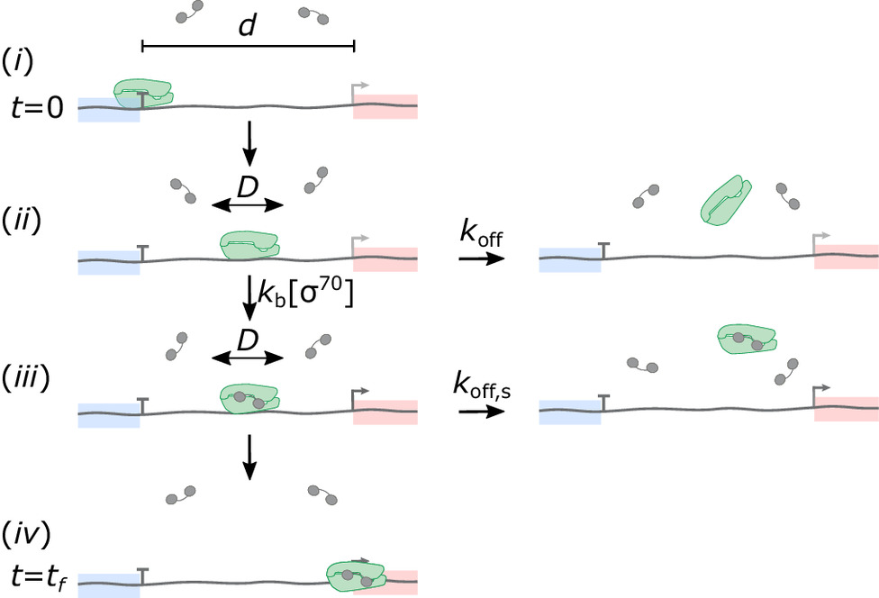 pnas.2301402120fig01
